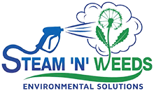Steam 'N' Weeds